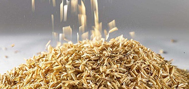 ������ҵ����